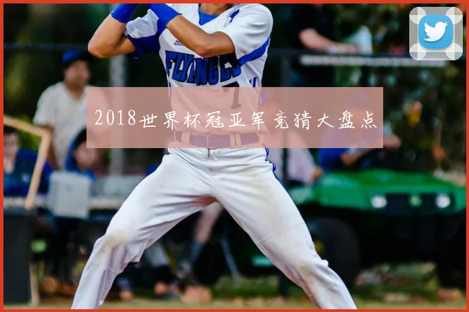 2018世界杯冠亚军竞猜大盘点