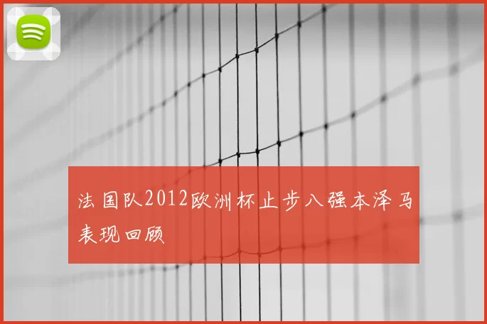 法国队2012欧洲杯止步八强本泽马表现回顾