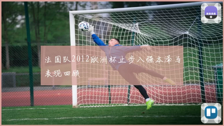 法国队2012欧洲杯止步八强本泽马表现回顾