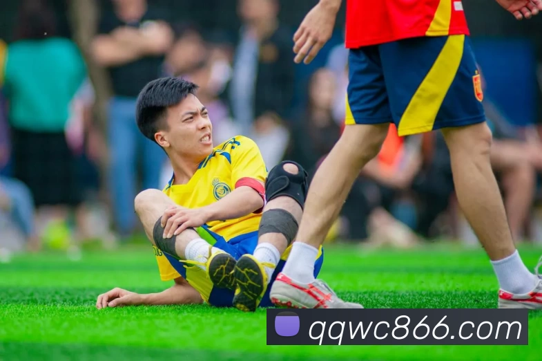 中国·今年会 - www.jinnianhui.com|官方网站平台生态图